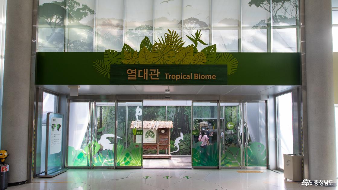 열대관의 모습
