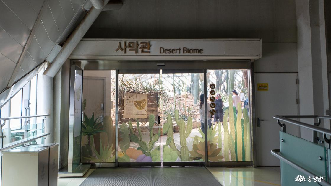 사막관의 모습
