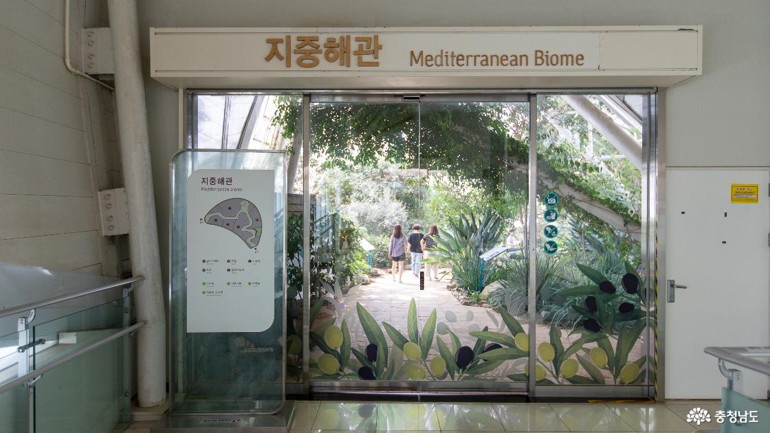 지중해관의 모습