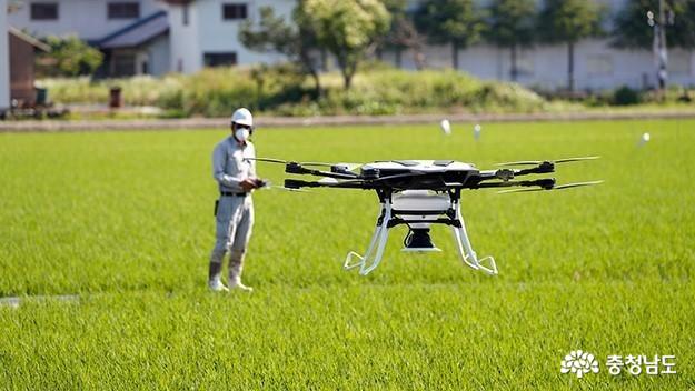 충남 농업용 드론 방제 작업 모습 (출처: 한국일보)