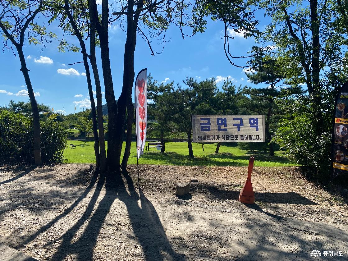 식당 주변. 나무와 잔디가 보인다
