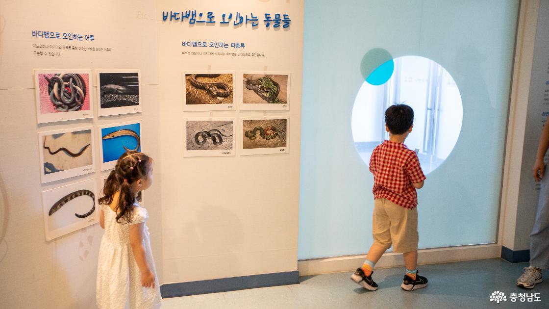 바다뱀연구소의 모습