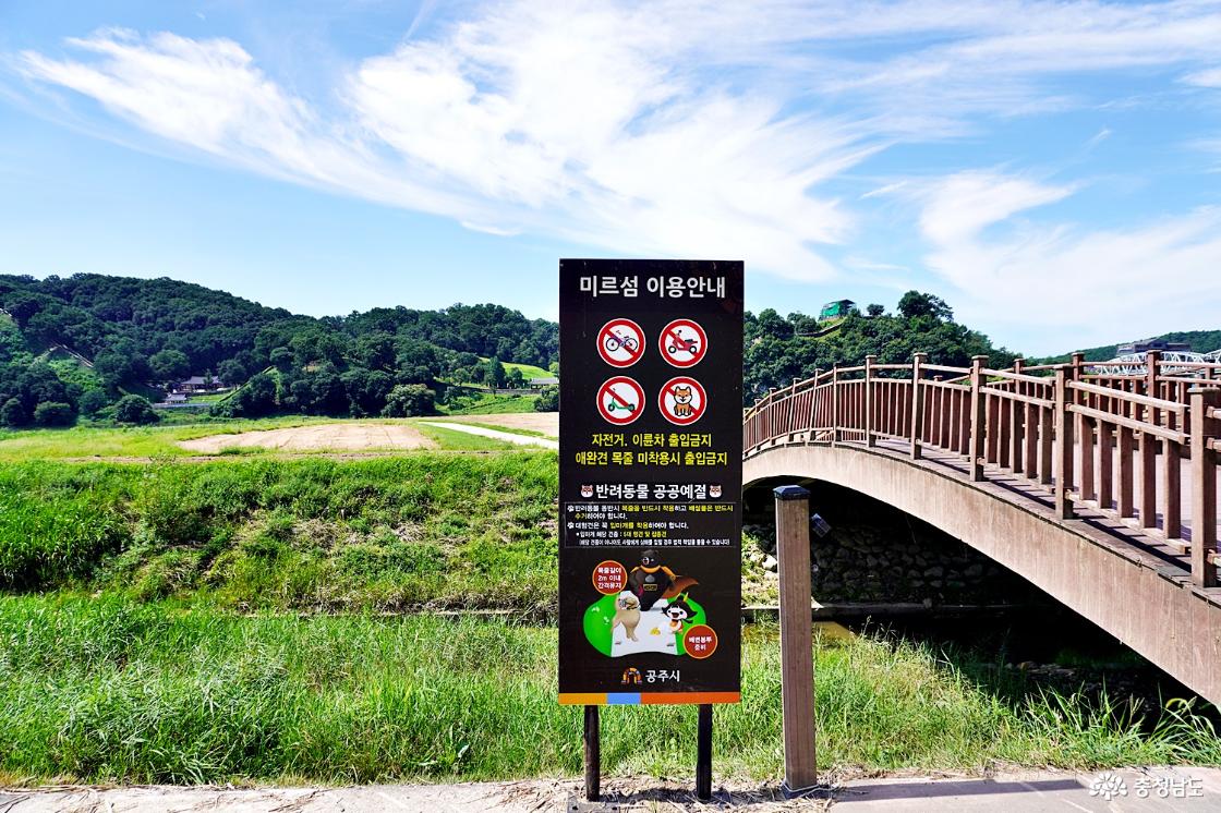 미르섬가는 나무교각