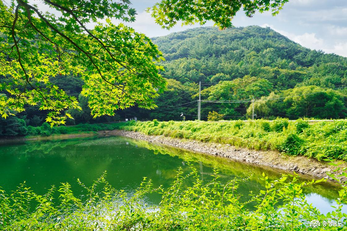 차가 지나갈 수 있는 일차선 도로