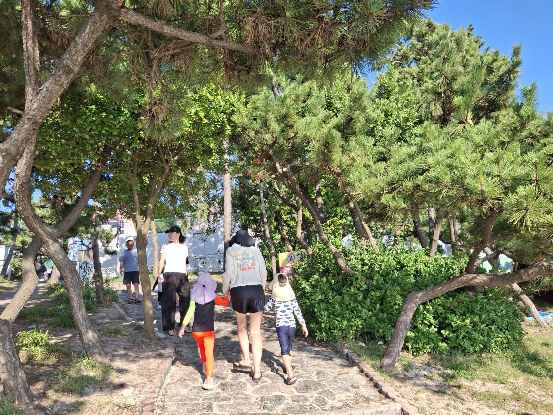 대천해수욕장
