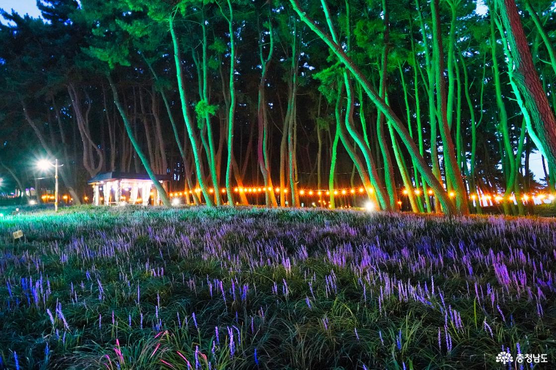 밤이 되어도 반짝이는 축제장