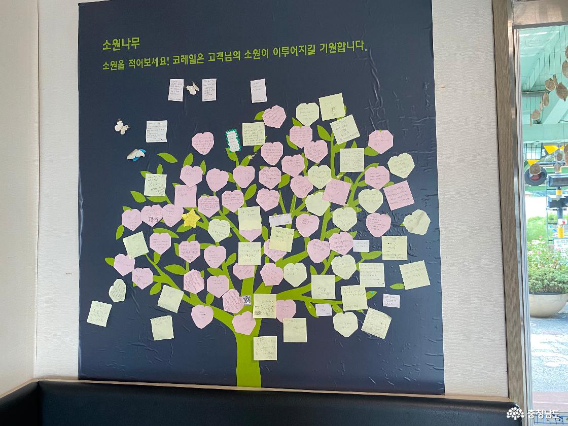 코레일 기차 문화공간 20