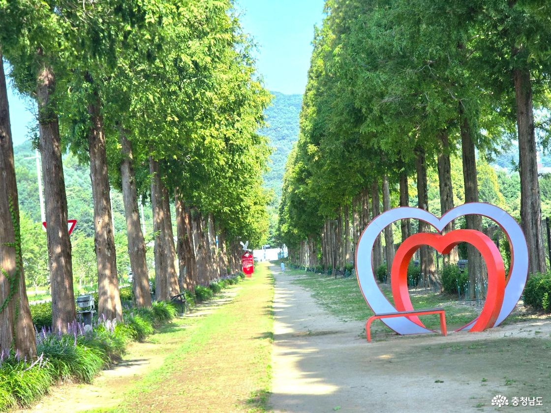 예산 메타세쿼이아길에 있는 하트 포토존 사진입니다.