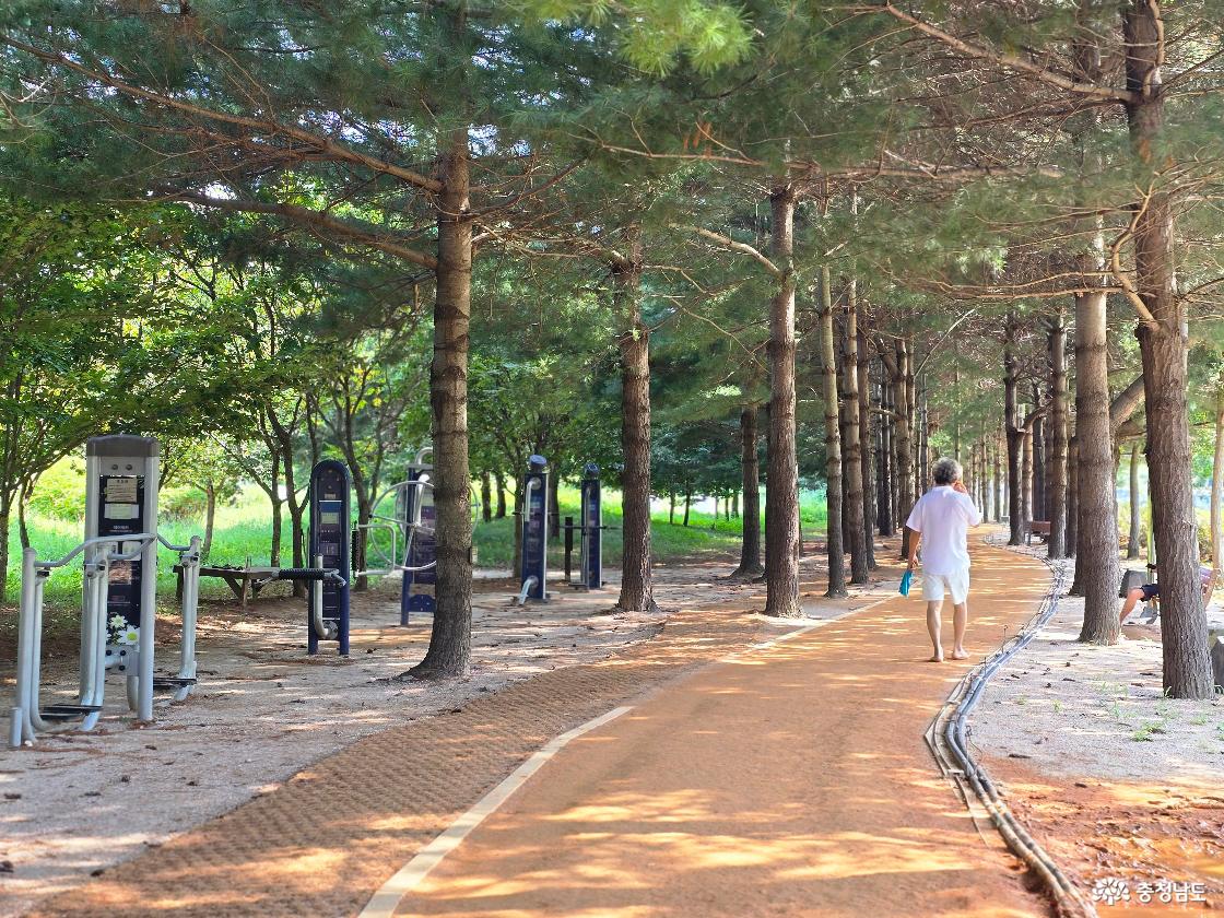 맨발황톳길을 걷는 행인과 공용 운동기구 사진입니다.