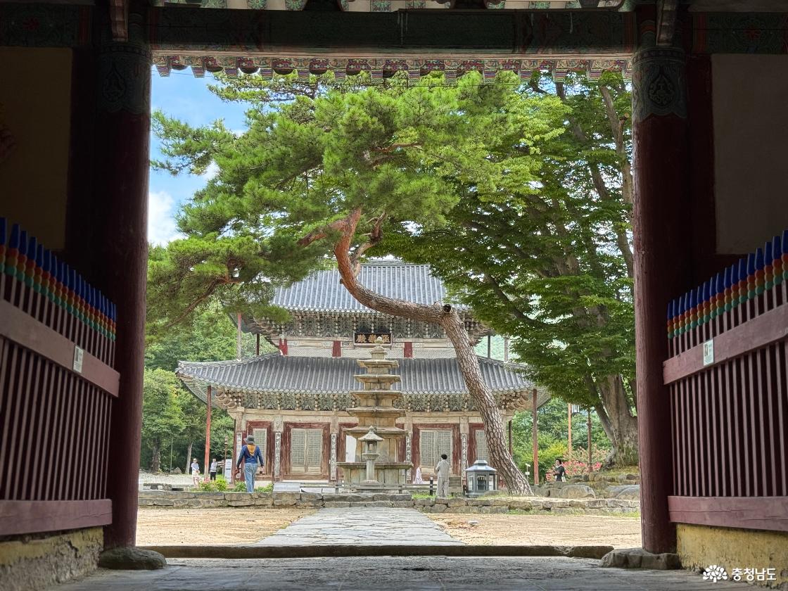 일주문에서 바라본 경내