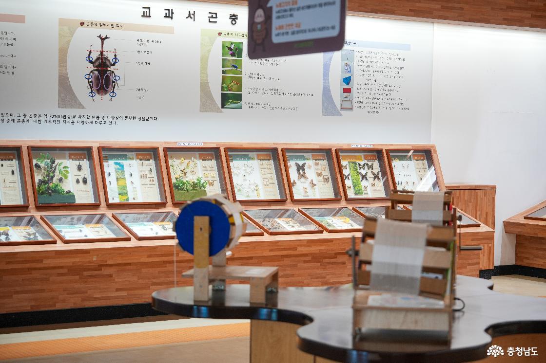 곤충 표본 전시
