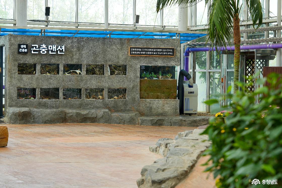 곤충맨션과 안내판 (문구: 곤충맨션에는 11가지 종류의 정지동물이 살고 있어요. 곤충맨션에 어떠한 곤충들이 살고 있는지 찾아보아요.)