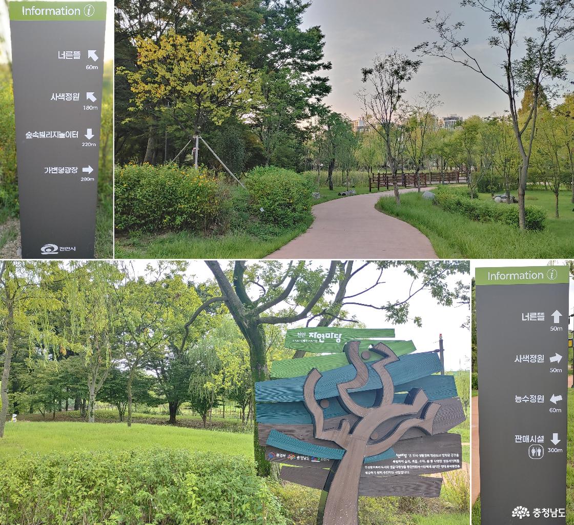 녹색정원 / 천안 자연마당 숲길