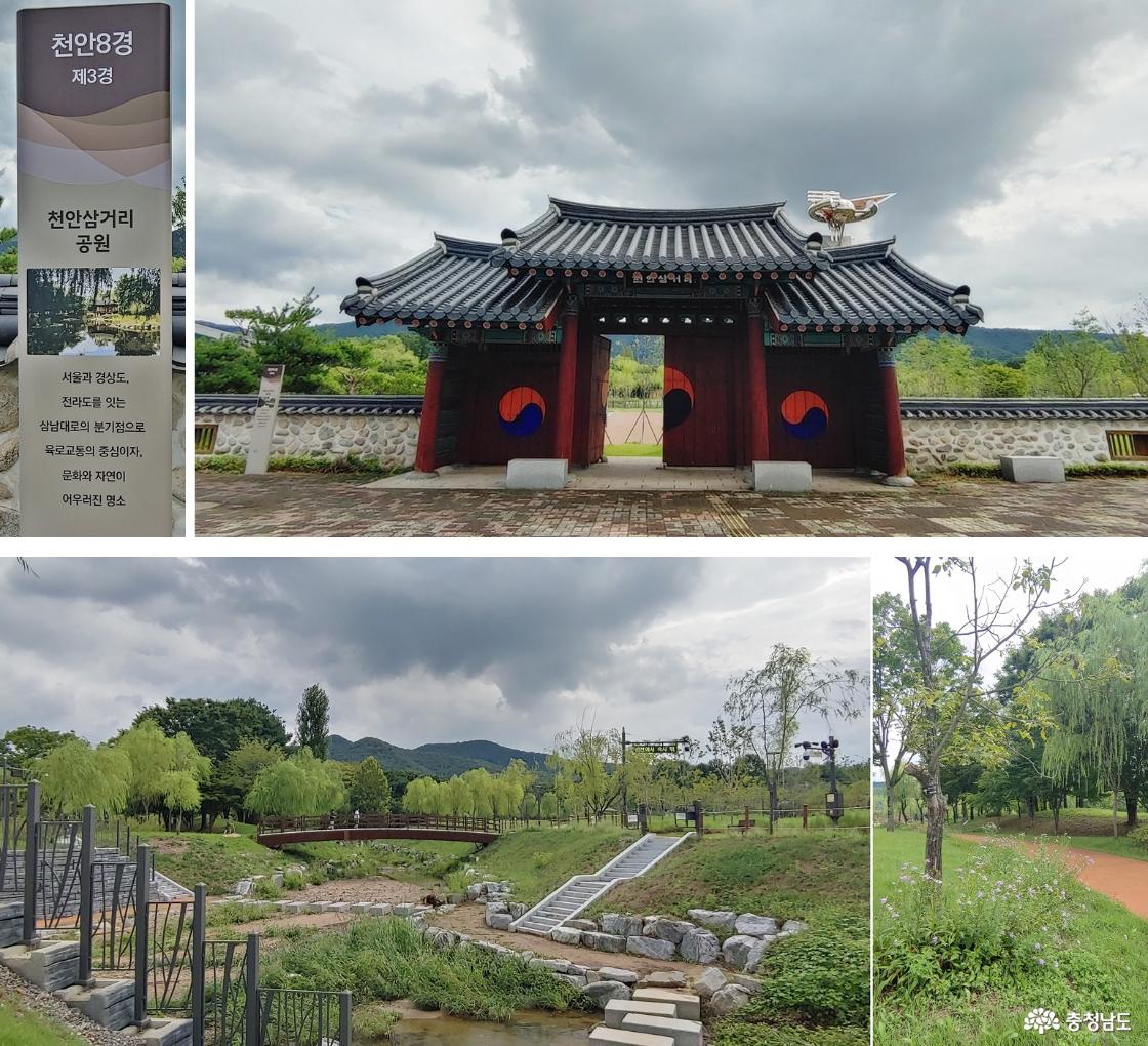 천안삼거리 대문/ 능수버들 숲길