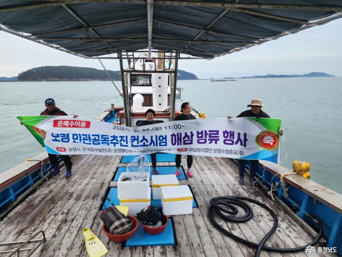 해양수산부 주관 올해 자율관리어업공동체 평가에서 우수공동체(장려)에 선정된 보령 장고도의 자원조성 행사 안내사진입니다. 온배수이용 보령 민관공동추진 컨소시엄 해삼 방류 행사 축 주최 보령시, 한국중부발전(주) 주관 어업회사법인 보령수협종묘(주)