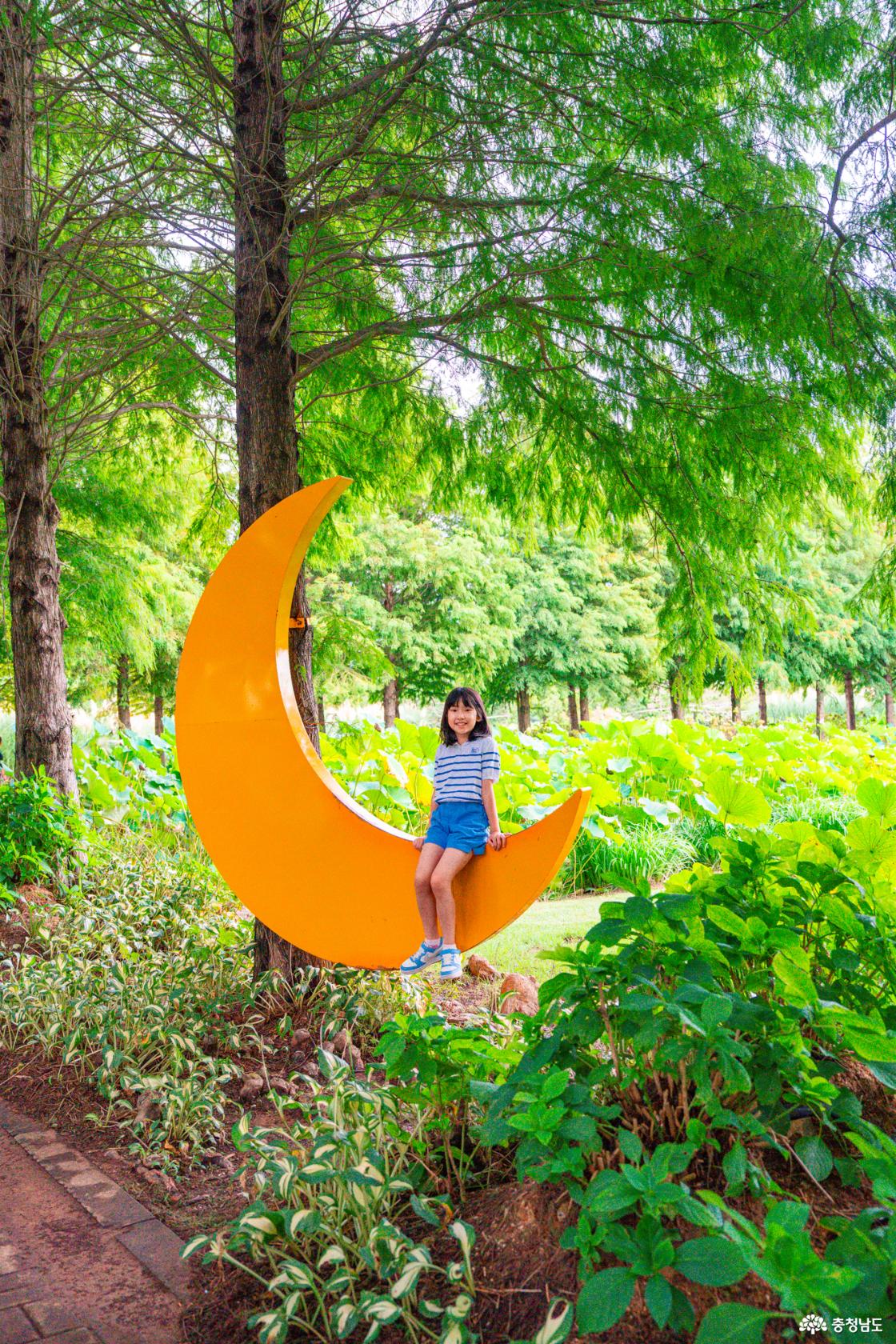 노란색 달 포토존