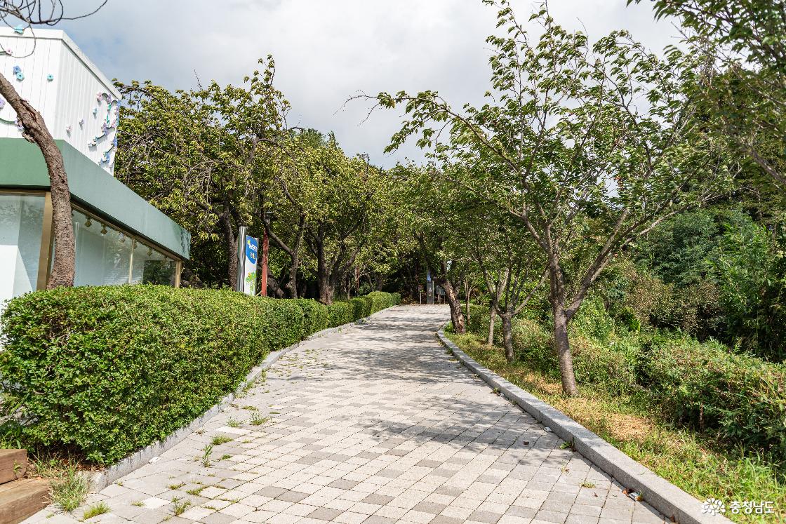 당진 남산공원 산책로