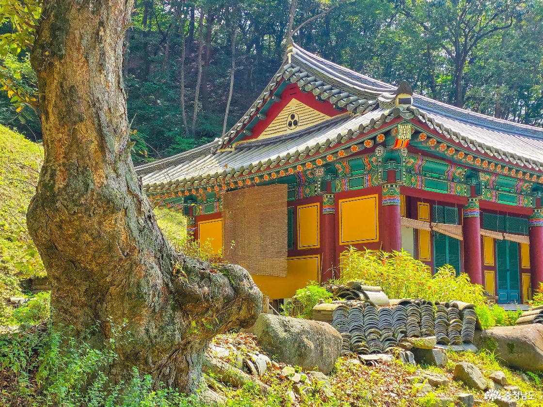 충남 청양 장곡사 