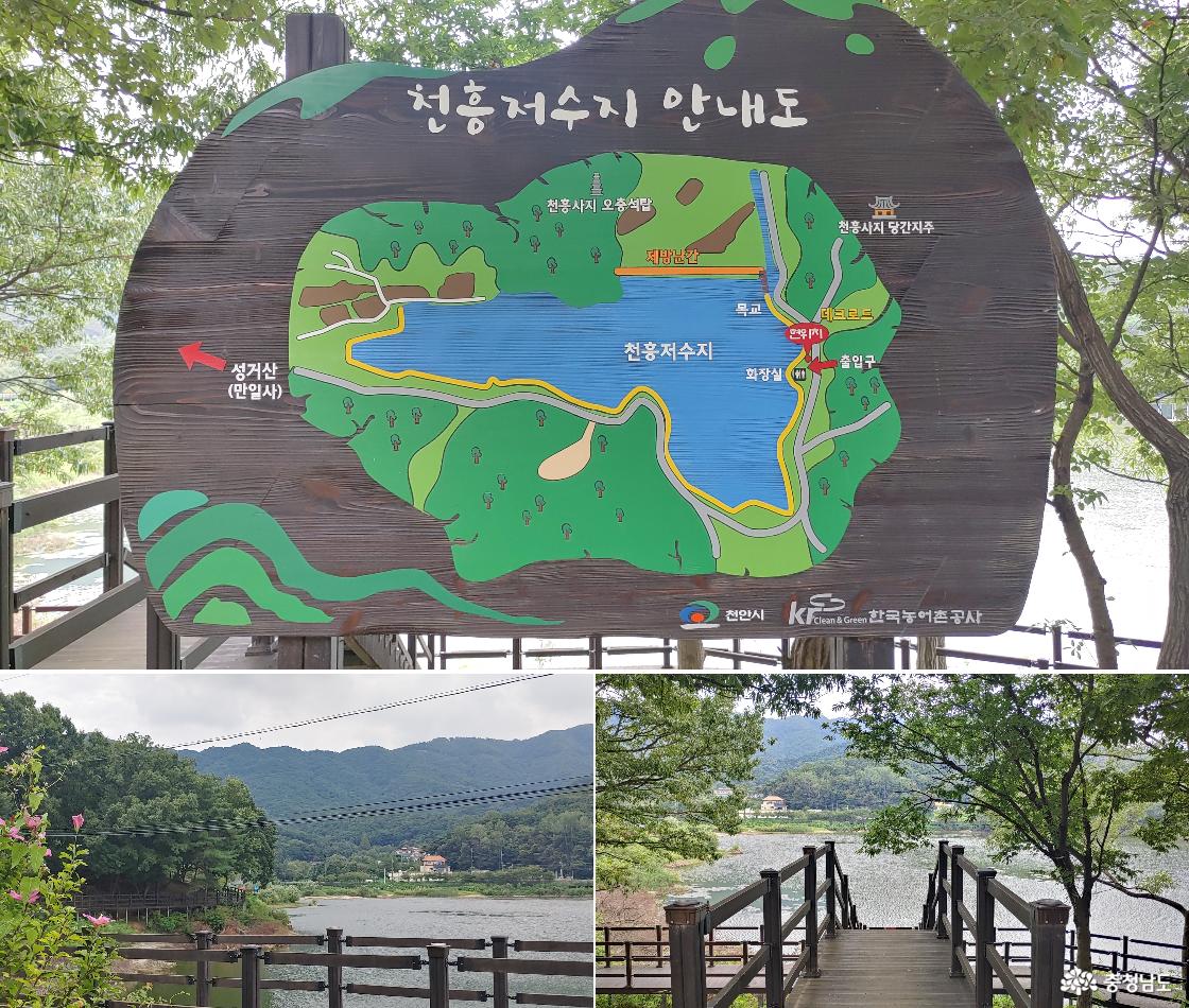 천저수지 안내도 / 천흥저수지 나무 텍크 길