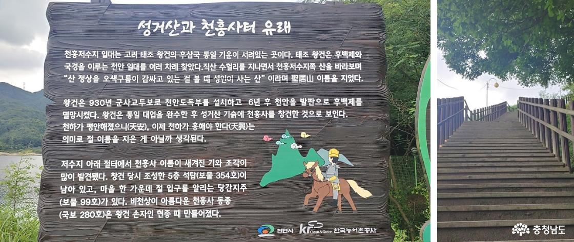 성거산과 천흥사터 유래 / 천흥리 마을에서 천흥저수지 제방으로 오르내리는 나무 계단