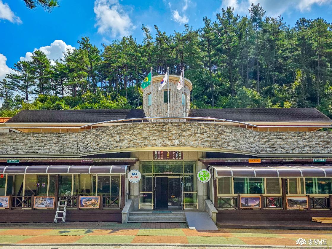 칠갑산 자연휴양림 