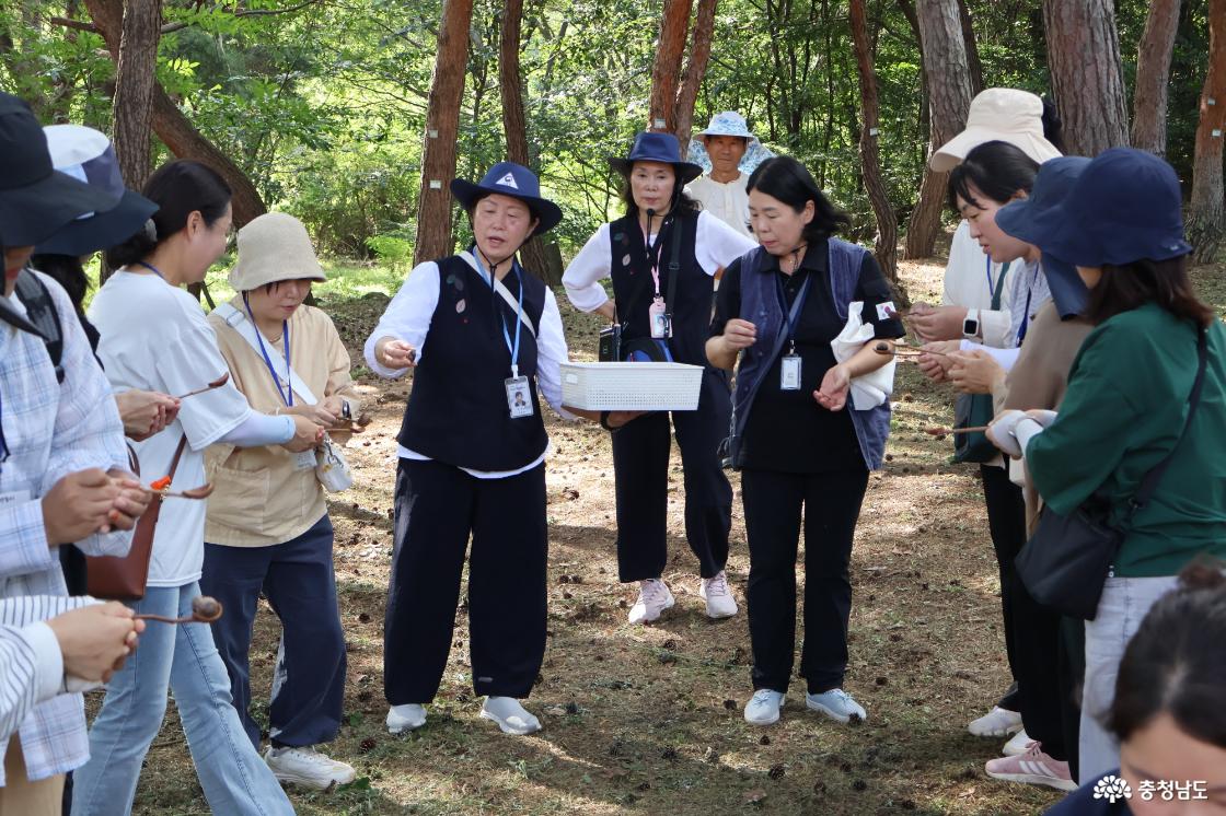 충청남도어린이인성학습원 교직원 역량강화교육 하반기‘인성 속 자연놀이’성료
