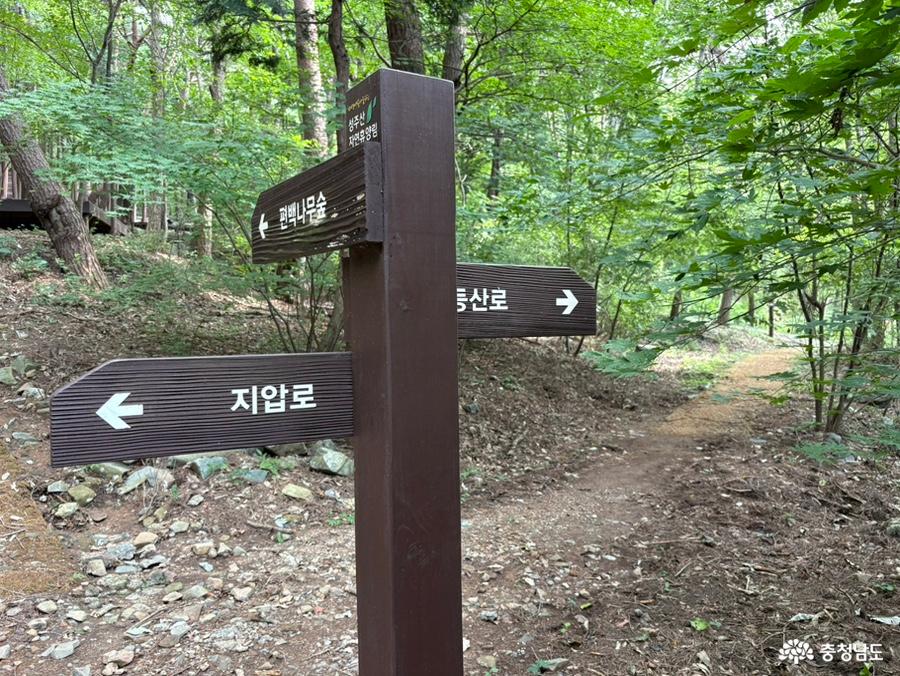 성주산