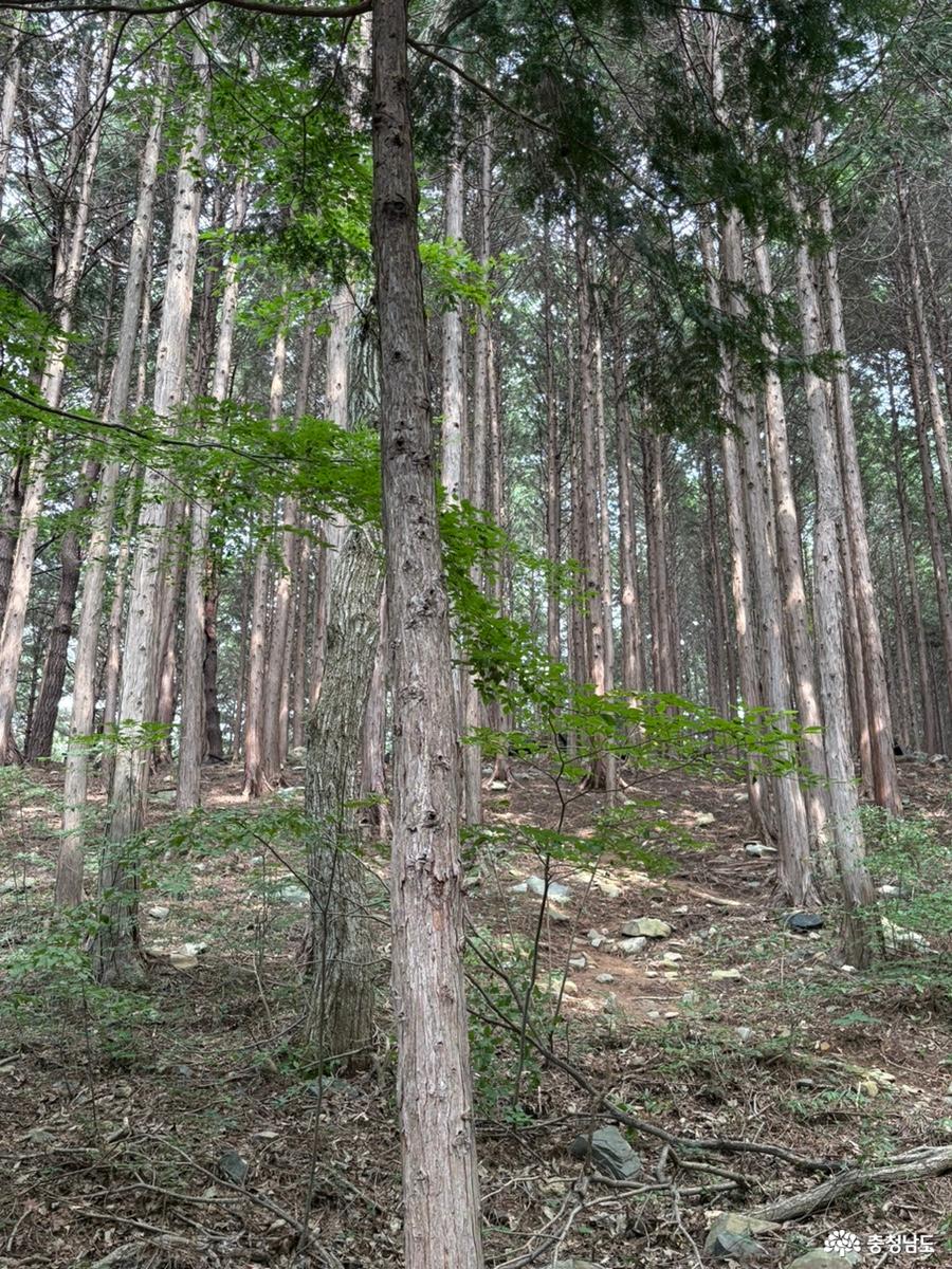 성주산