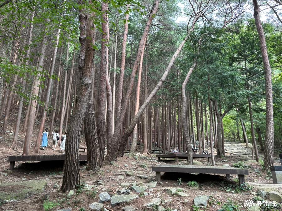 성주산