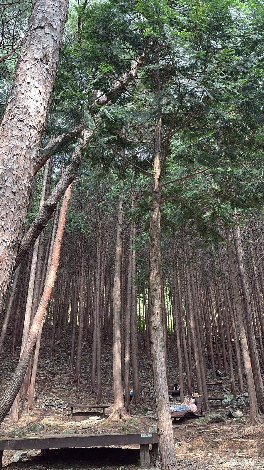 성주산