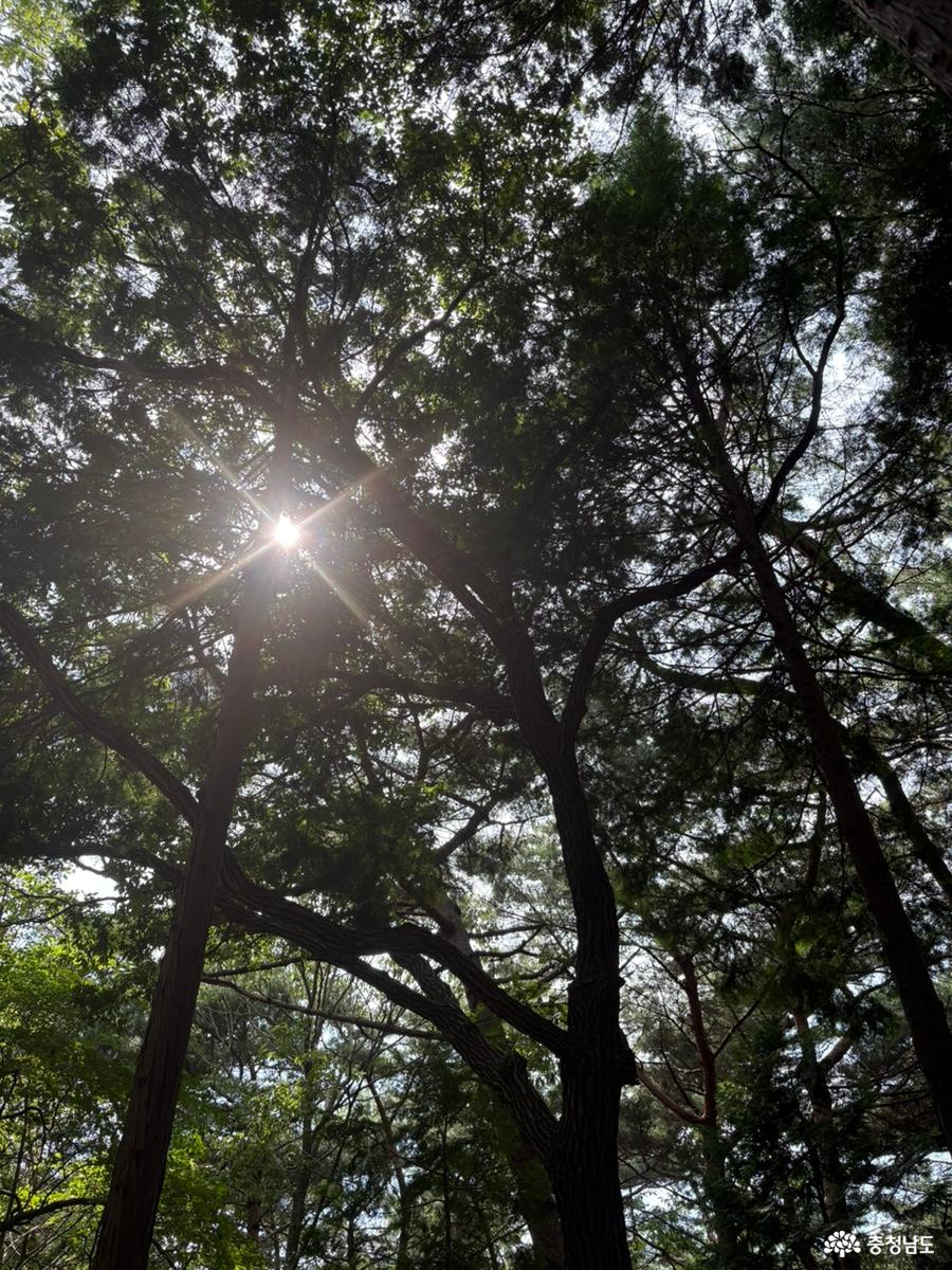성주산