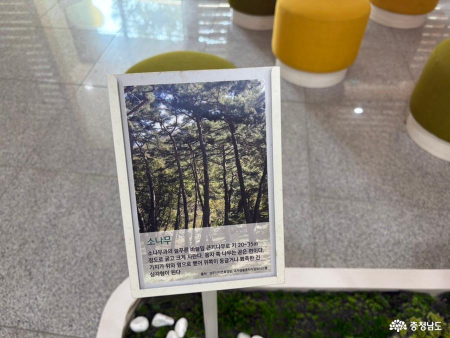 성주산 자연휴양림 박물관