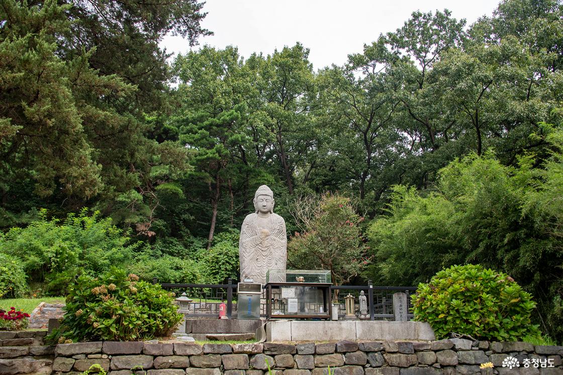 숲으로 둘러싸인 불상의 모습