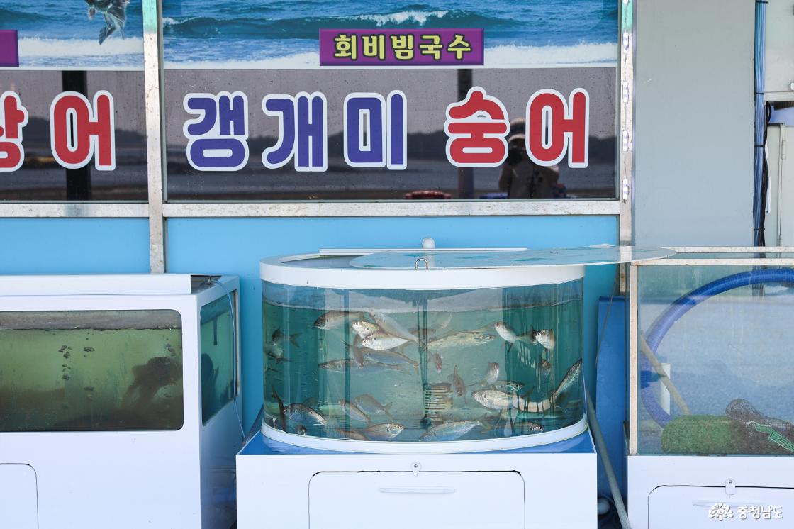 횟집