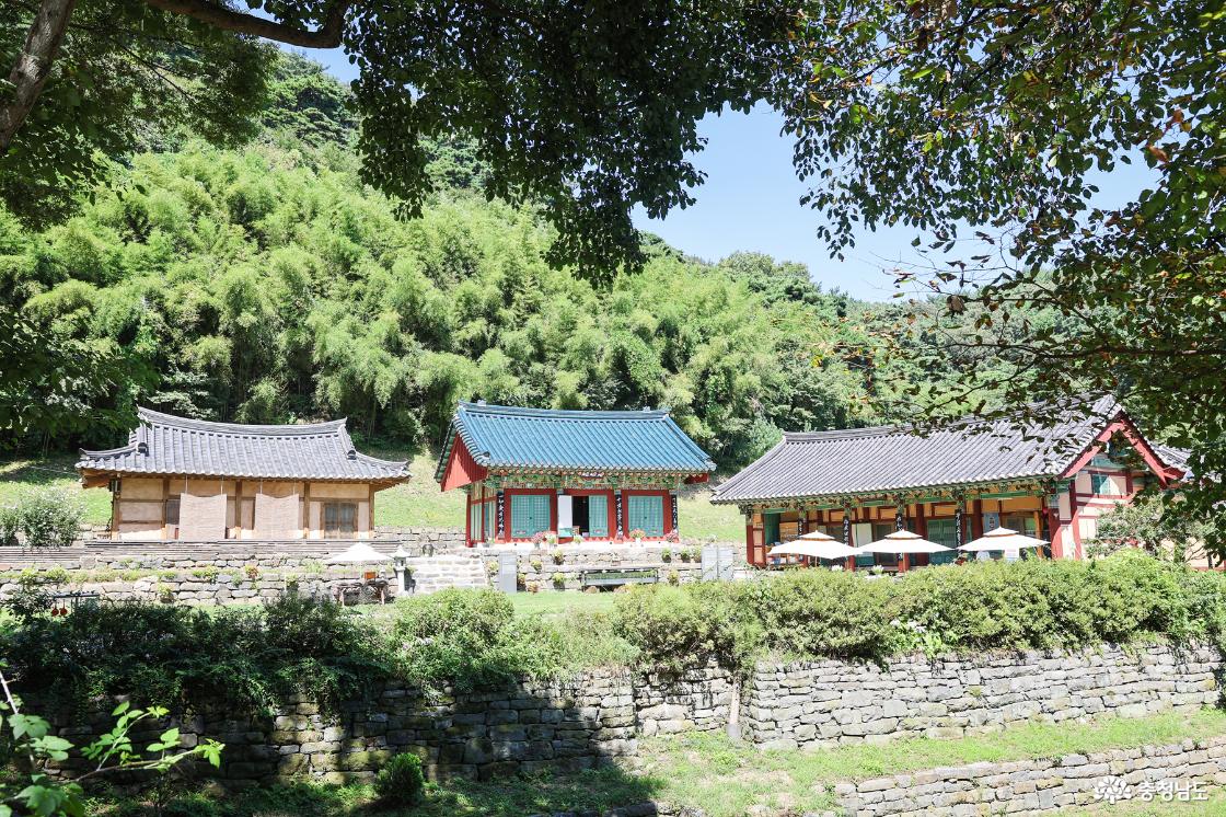 숲 사이로 보이는 봉곡사