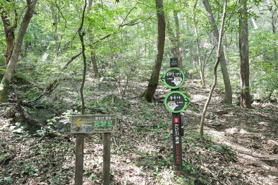 코스안내도