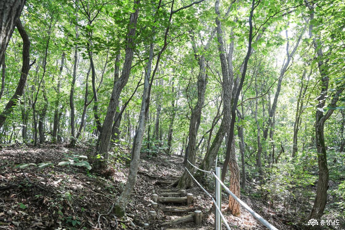 등산로
