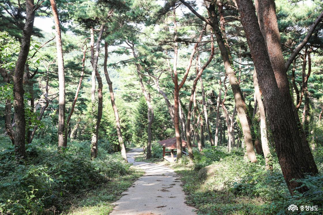 하산길