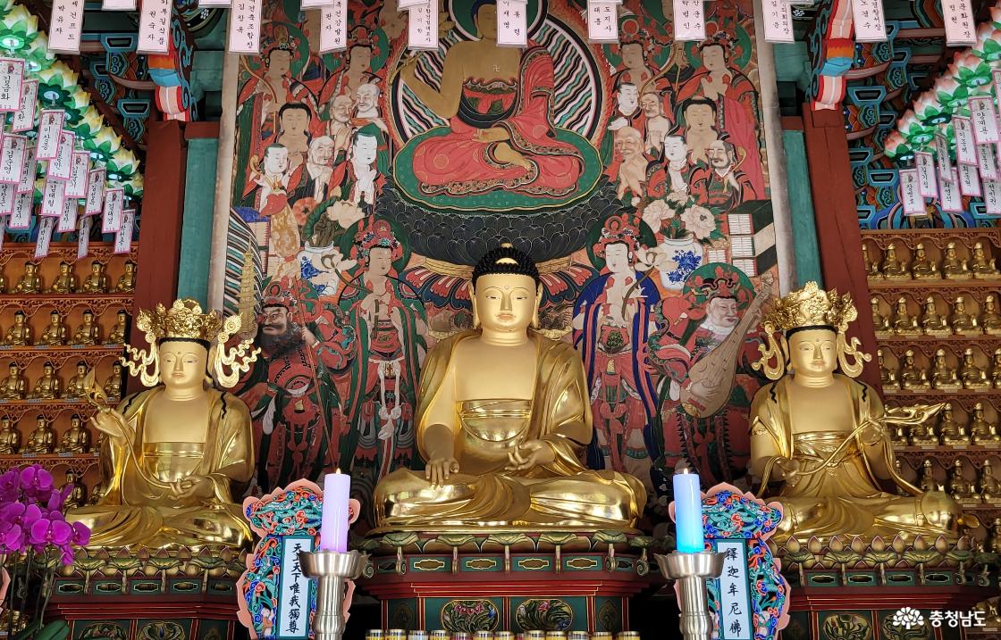 천년고찰 금산 보석사 대웅전 목조석가여래삼존좌상.