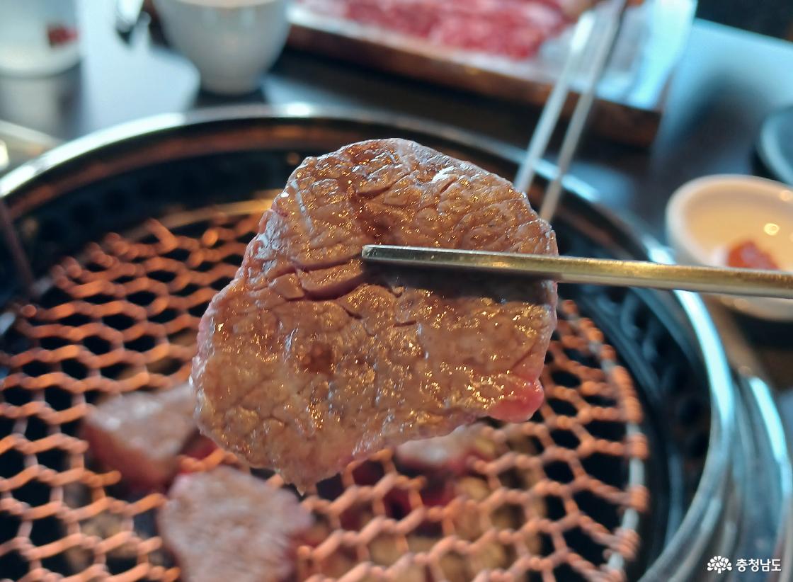 알밤에 반한 한우 9