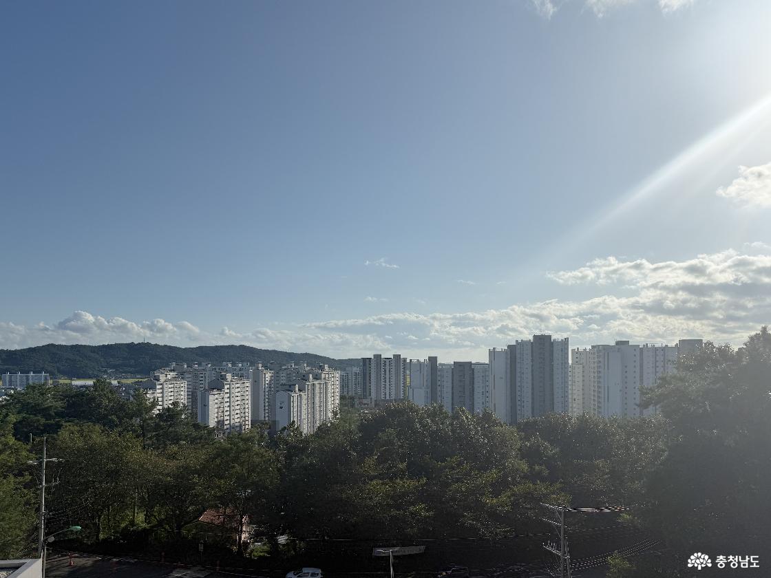 옥상에서 바라본 풍경