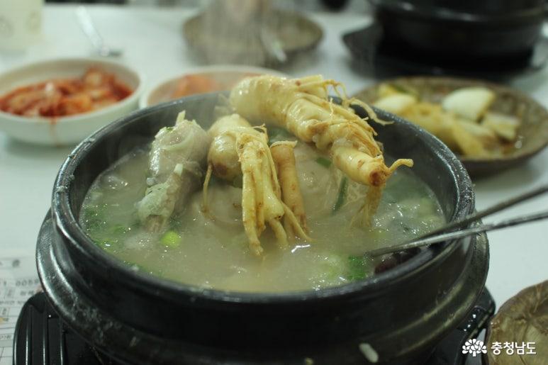 어마무시한 크기의 인삼에 맛까지 일품인 금산 인삼 삼계탕 