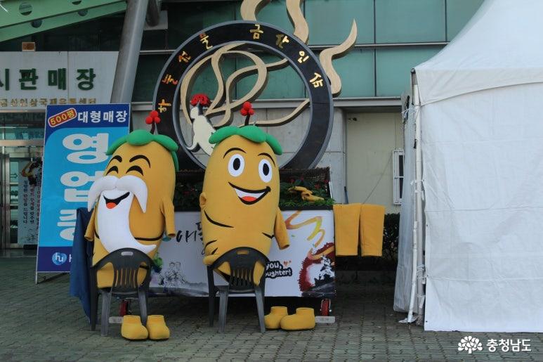금산 인삼은 남녀노소 누구에게나 좋아요!