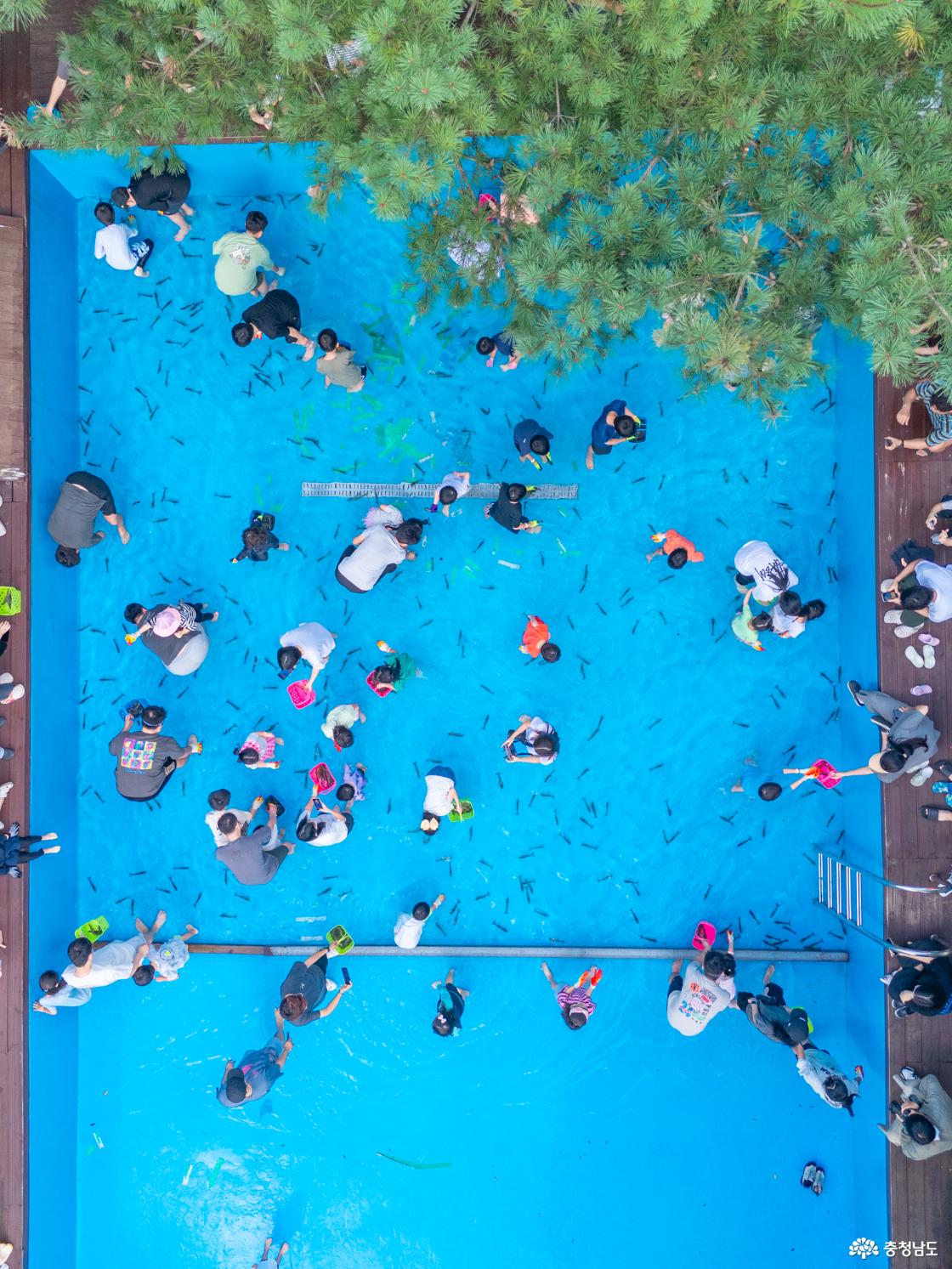 홍성 내포 캠핑장 대하잡이 이벤트 소개