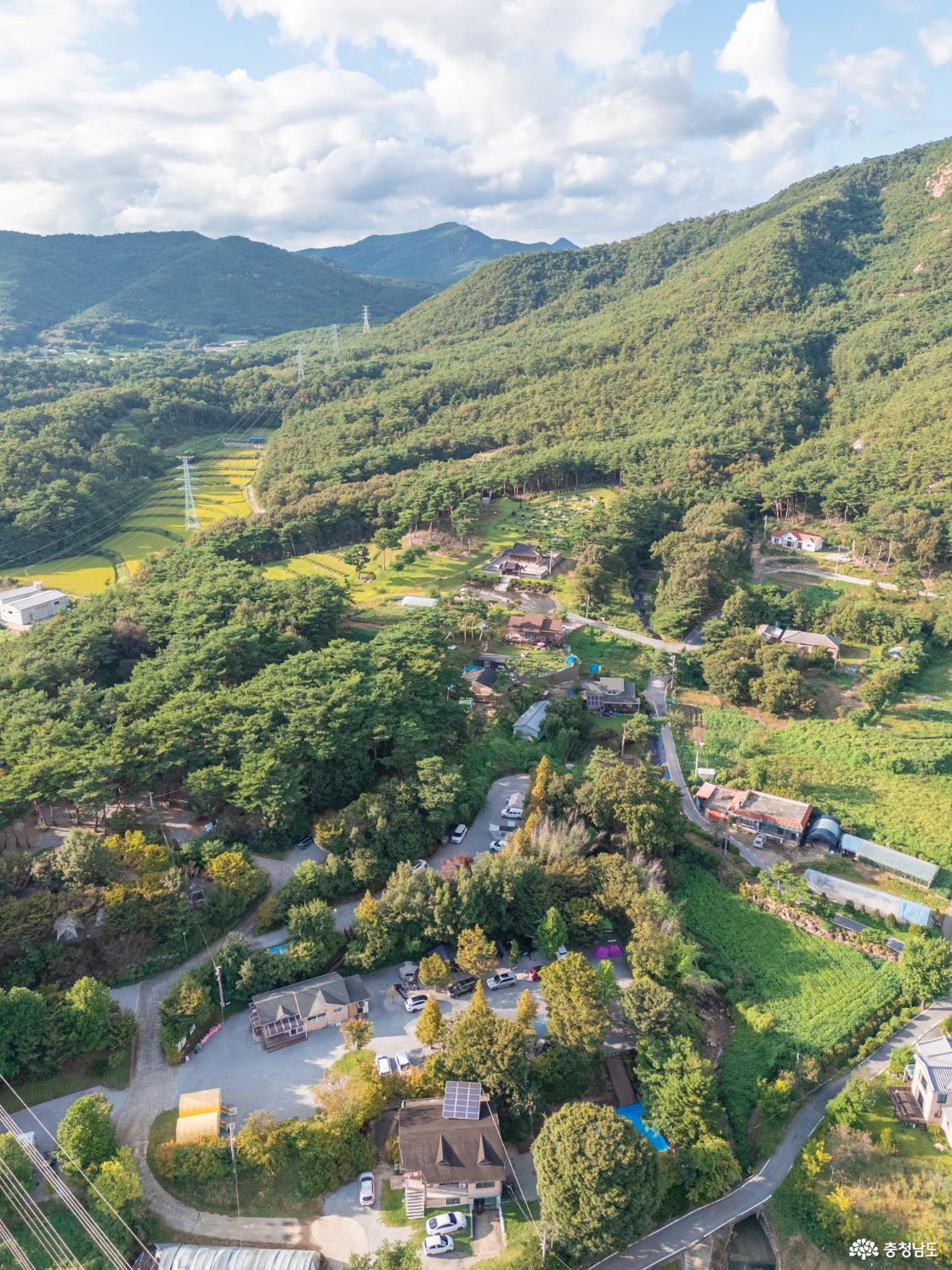 홍성 내포 캠핑장 대하잡이 이벤트 소개