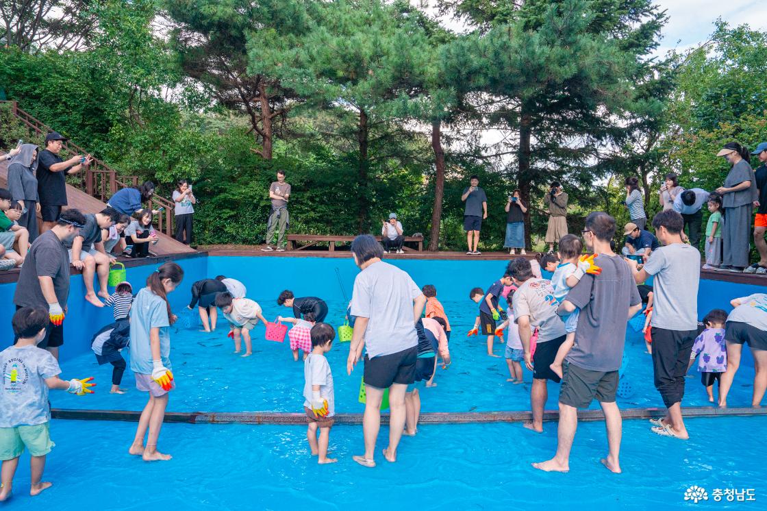 홍성 내포 캠핑장 대하잡이 이벤트 소개