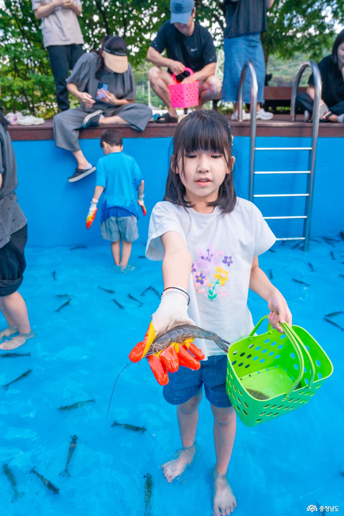홍성 내포 캠핑장 대하잡이 이벤트 소개