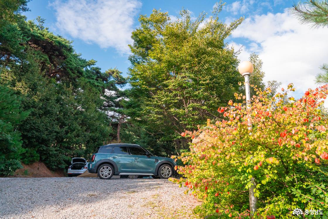 홍성 내포 캠핑장 대하잡이 이벤트 소개