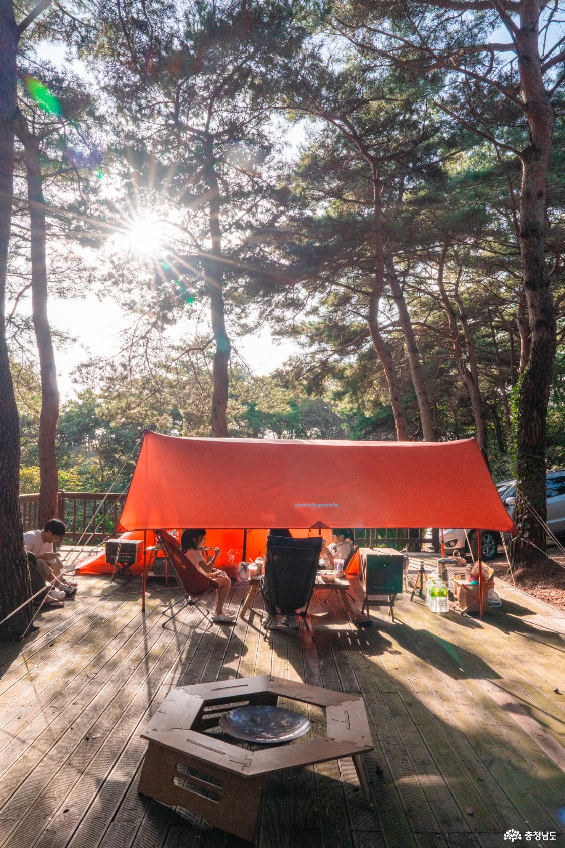 홍성 내포 캠핑장 대하잡이 이벤트 소개