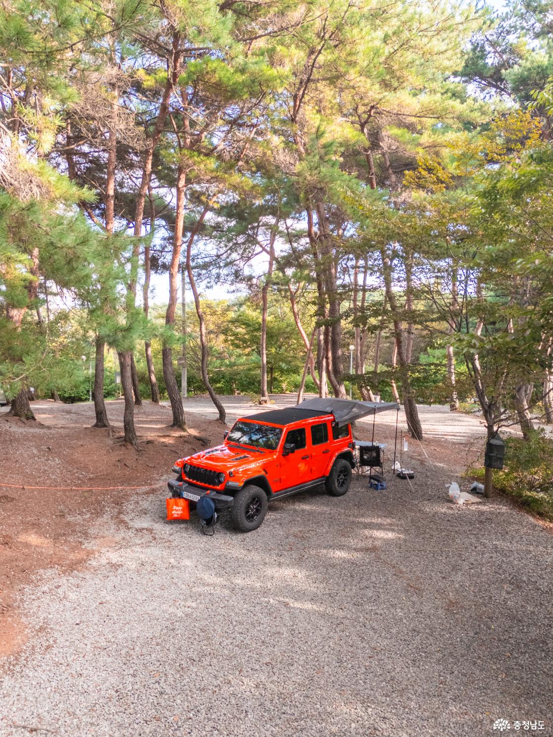 홍성 내포 캠핑장 대하잡이 이벤트 소개